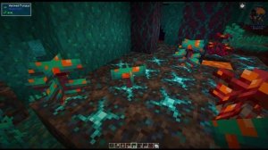 Nether's Delight 1.16.5  Mod Spotlight~ Minecraft Mod Spotlight