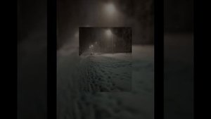 комфортный плейлист рандомных песен