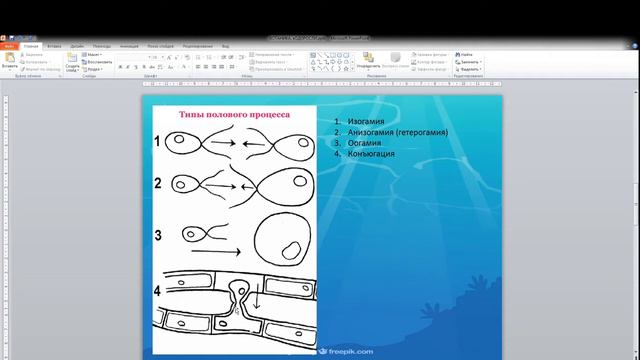 Я понимаю биологию. Ботаника. Водоросли. смотреть онлайн