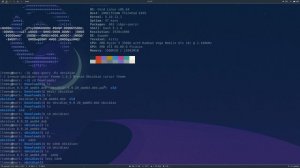 Installing .deb packages on Void Linux (Obsidian)