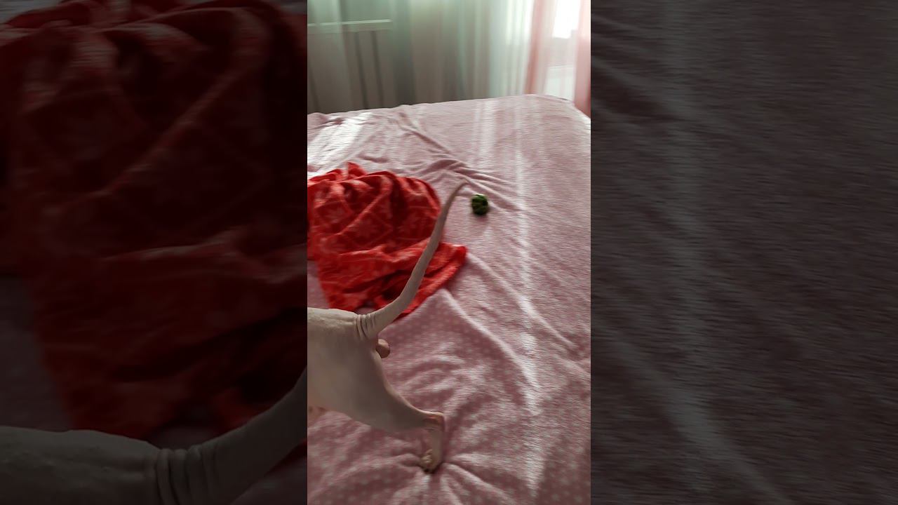 Аман смотреть онлайн