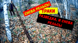 Металлокоп, снова рельсы, траки, разведка...