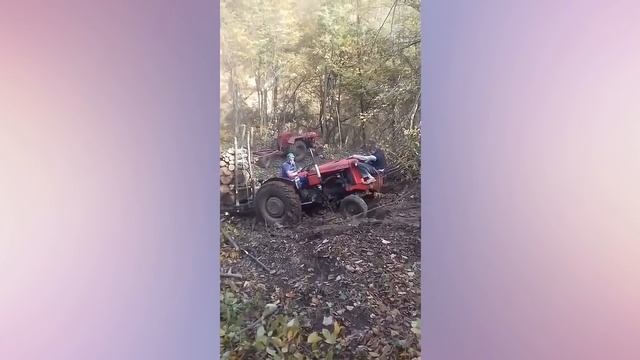 ОНИ НЕ ЗНАЮТ ЧТО ТАКОЕ ПЕРЕГРУЗ смотреть онлайн