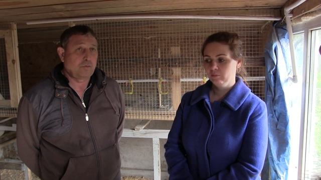 Как построить курятник на даче своими руками. Часть 3│ Башинком смотреть онлайн