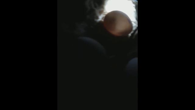 Малыши Бородатой Агамы, шевеление в яйце. Осторожно не очень хорошее качество видео! смотреть онлайн