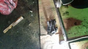 Лепестковые сцепление на Д-260(1221)