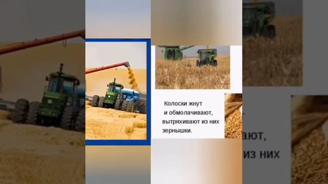 Презентация "От куда хлеб пришёл"