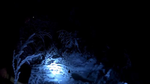 Лося в Тайге, всю ночь отлаяли собаки. Ночую в избе и волнуюсь. смотреть онлайн