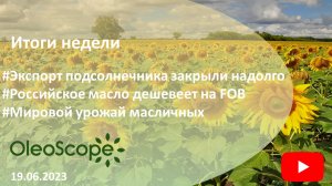 Итоги недели. Экспорт подсолнечника закрыли надолго, российское масло дешевеет, мировой урожай