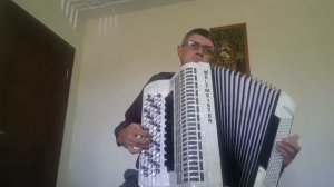 Я люблю тебя до слез. Кавер на баяне