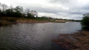 Скоро на канале. Хутор Обуховка. Ростовская область.