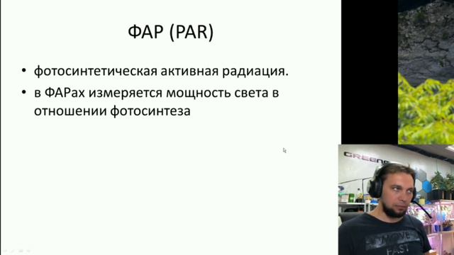 Какие лампы лучше выбрать? фитолампы для рассады, для огорода на окне, для микрозелени, для цветов