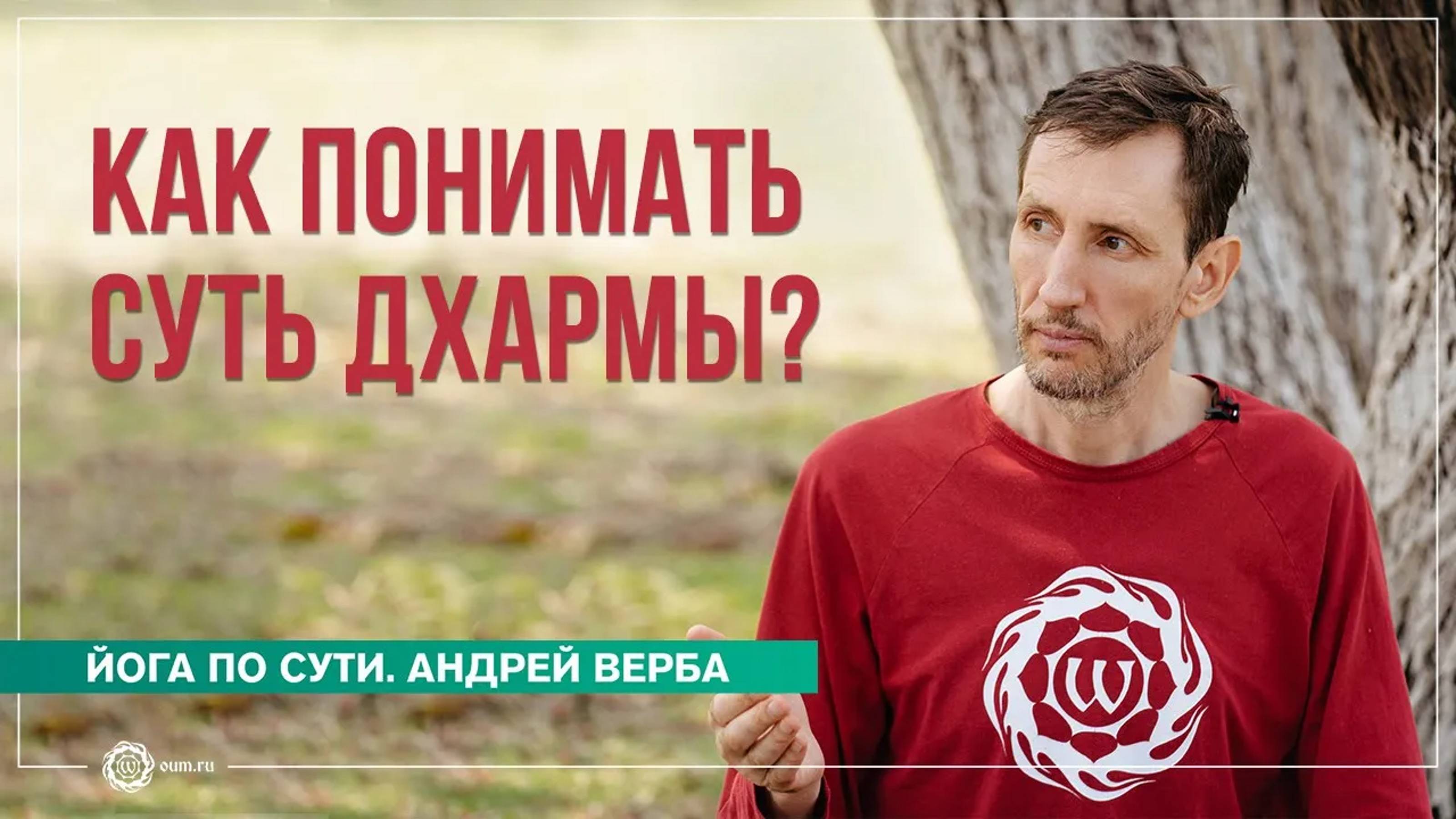 Мудрость Вималакирти. Как понимать суть Дхармы Андрей Верба
