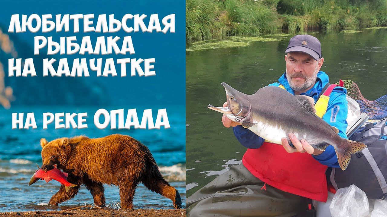 Рыбалка на реке Опала Камчатка