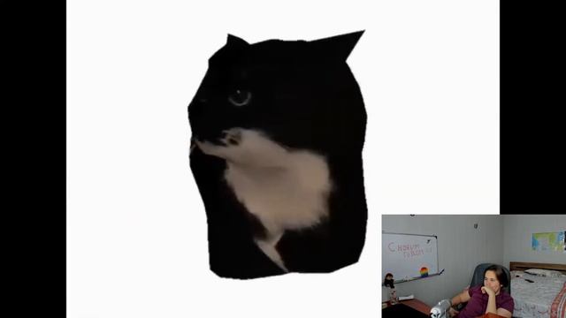 1 Час смотрим на кота смотреть онлайн