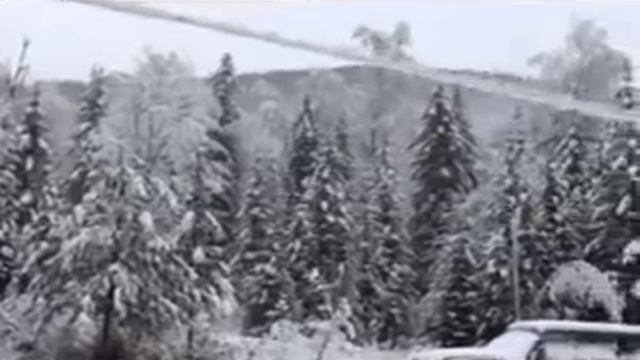 Голец, хариус, охота на изюбря смотреть онлайн