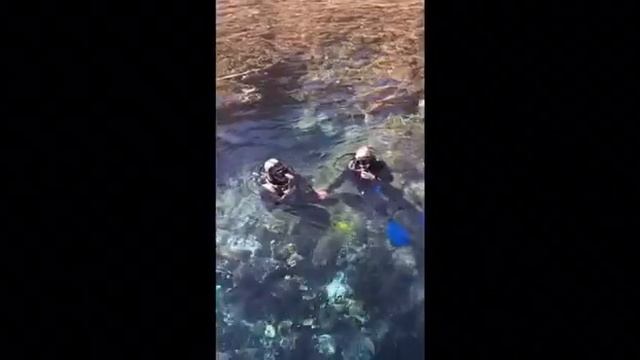 Хургада - Энерготур с Людмилой Тихой смотреть онлайн