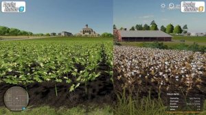Farming Simulator 22 vs Farming Simulator 19 - Direct Comparison! Attention to Detail & Graphics!