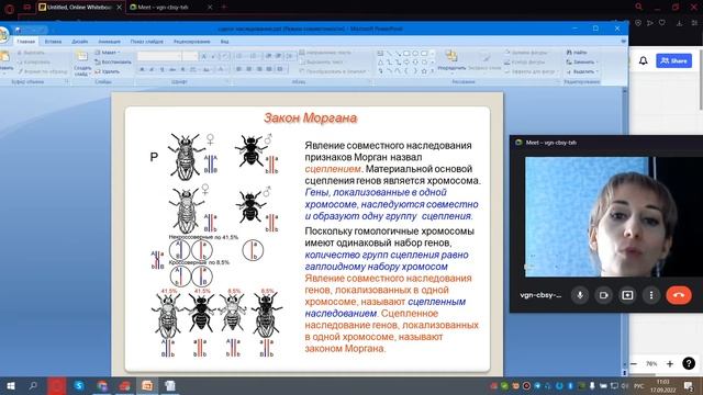 11 кл Морган смотреть онлайн