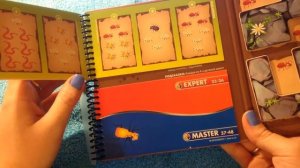 Логическая магнитная игра Smart Games _Деловые жуки_ от компании Bondibon.mp4