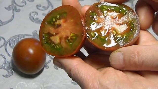 Томат Мультифлора гном. Самый низкий из гномов! смотреть онлайн