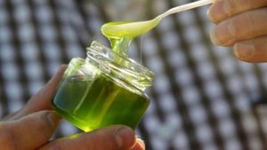 Во Франции пчелы начали делать синий и зеленый мед. Спустя недели пчеловоды узнали причину.