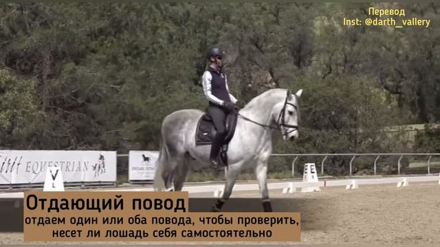 Как работать поводом. Верховая езда смотреть онлайн