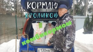 Кормление кроликов. Цены на корма весна 2022 года.