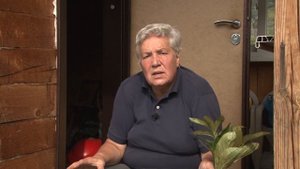 Голова садовая - Когда пересаживать пионы