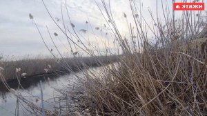 УЧАСТКИ У ПРУДА В ГОЛУБИЦКОЙ | НЕДВИЖИМОСТЬ | ТЕМРЮК