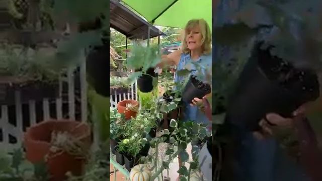 Harvest Planter Ideas смотреть онлайн