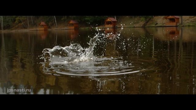 Cпиннинги для ловли форели Varivas серии ARD смотреть онлайн