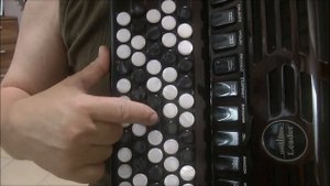 МОЙ  НЕЖНЫЙ И ЛАСКОВЫЙ ЗВЕРЬ- Разбор на баяне (COVER)