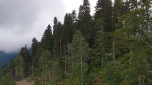 Природный парк водопадов "Менделиха"