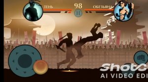 Shadow Fight 2