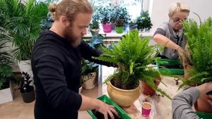 Мастер класс по посадке папоротника Нефролепис.mp4