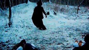 Лесные разбойники: возвращение