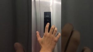 Обзор холодильника Haier