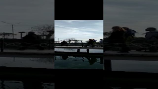 Абхазия. Январь 2021 смотреть онлайн