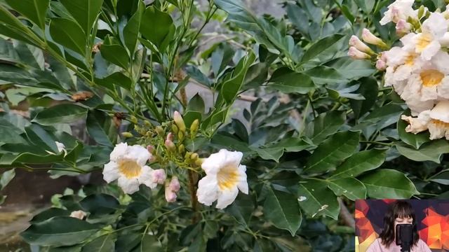 Мачеха выставила падчерицу из дома. Но через месяц в её дверь постучали и мачеху ждал сюрприз... смотреть онлайн