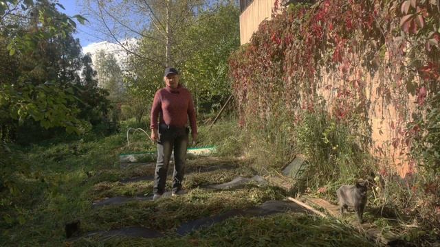 Грядки без перекопки. В сентябре самое время // Освоение участка смотреть онлайн