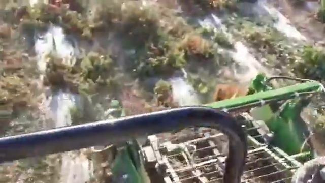 Самый крупный завод пр выпуску томатов... в средней Азии Кыргызстан: посеяли, собрали, переработали