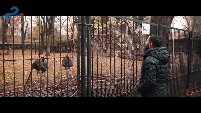 Район Амалиенау | Обзор района | Недвижимость Калининград