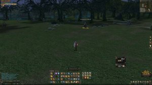 Lineage 2. Airin. Решаем проблему "убегающего" со спота персонажа/оптимизация макроса