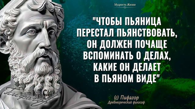 Мудрые Цитаты Пифагора, которые должен знать каждый! Мудрые слова, высказывания и знаменитые мысли смотреть онлайн