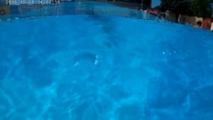 наш отдых в аквапарке Геленджика и Кабардинке