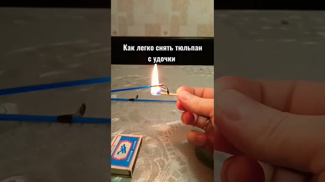 Как легко снять тюльпан с удочки