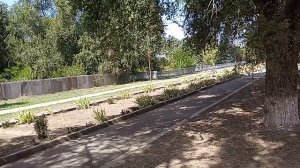 Посёлок Красочный, Ипатовский район, Ставропольский край. 13.08.2024 г.