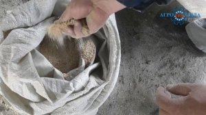 Зернодробилка. Кормоизмельчитель. Приготовление кормов для животных