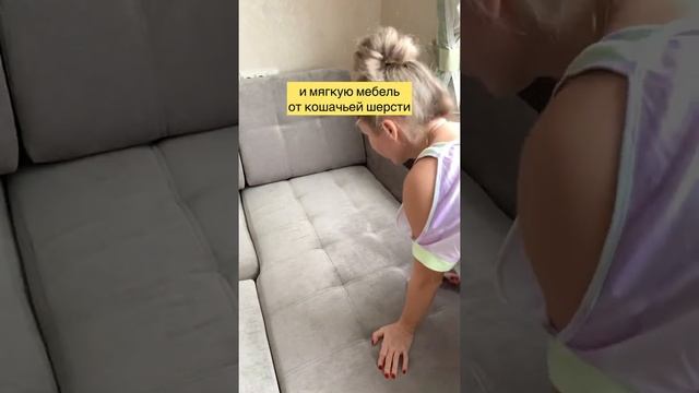 Как легко убрать шерсть от животных ?? #shorts